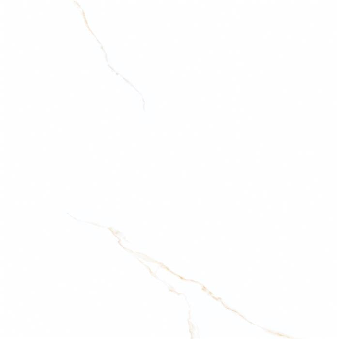 Narvik Gold V-LUP SP